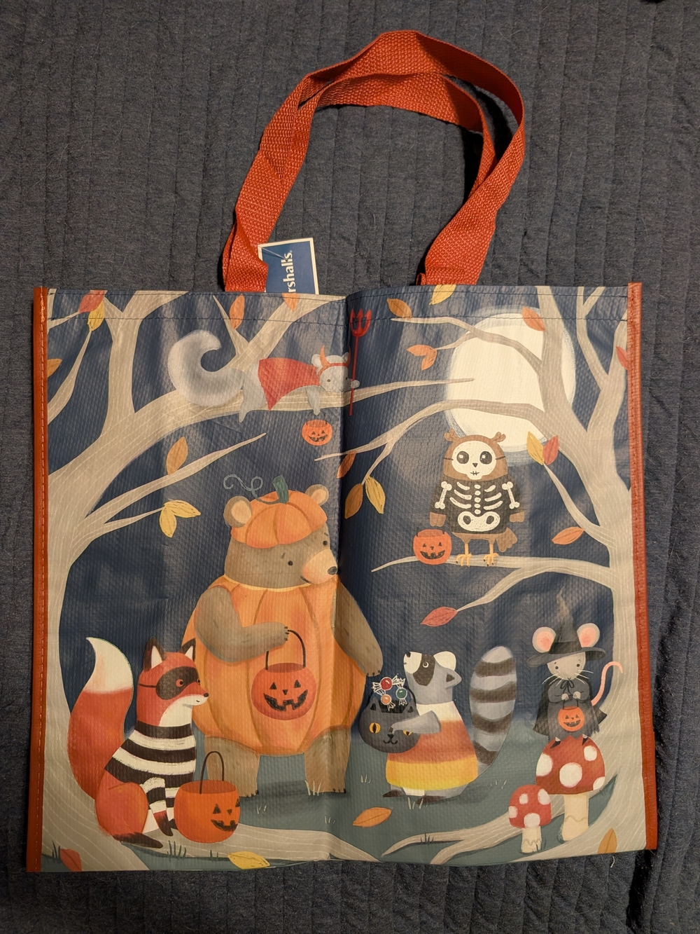 Woodland Animals Halloween Tote Bag Marshalls